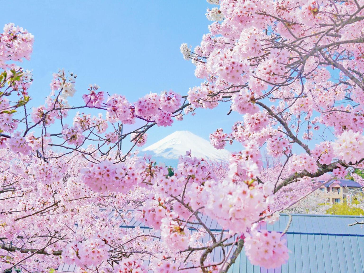 Отель Gotemba Kogen Tokinosumika Экстерьер фото